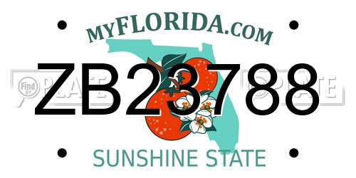 ZB23788 Florida License Plate