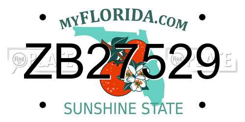 ZB27529 Florida License Plate