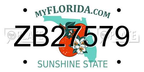 ZB27579 Florida License Plate