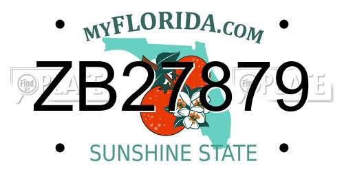 ZB27879 Florida License Plate