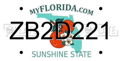 ZB2D221 Florida License Plate