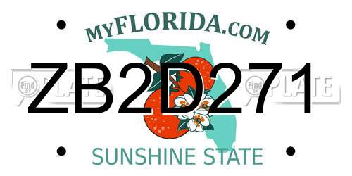 ZB2D271 Florida License Plate
