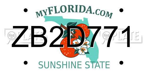 ZB2D771 Florida License Plate