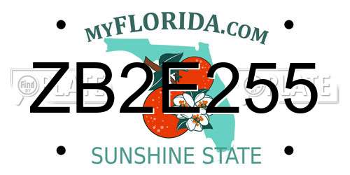 ZB2E255 Florida License Plate