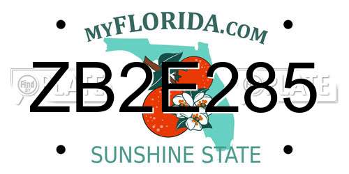 ZB2E285 Florida License Plate
