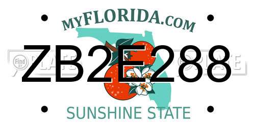 ZB2E288 Florida License Plate