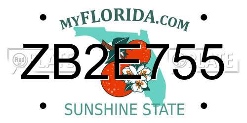 ZB2E755 Florida License Plate