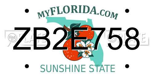 ZB2E758 Florida License Plate