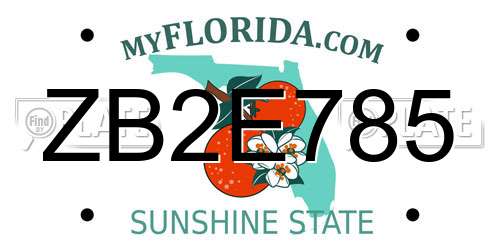 ZB2E785 Florida License Plate