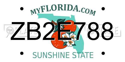 ZB2E788 Florida License Plate