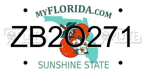 ZB2O271 Florida License Plate