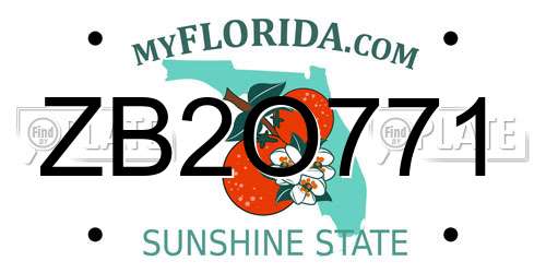 ZB2O771 Florida License Plate