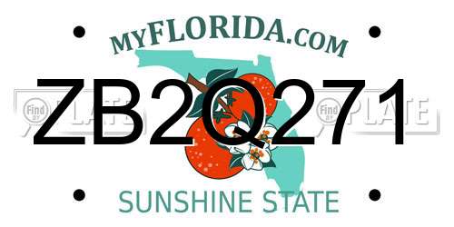 ZB2Q271 Florida License Plate