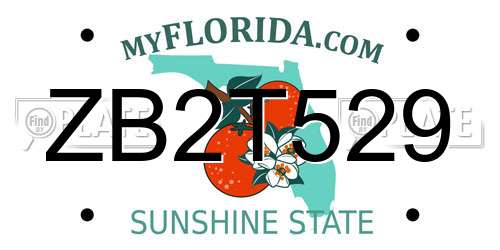 ZB2T529 Florida License Plate