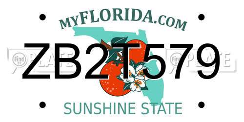 ZB2T579 Florida License Plate