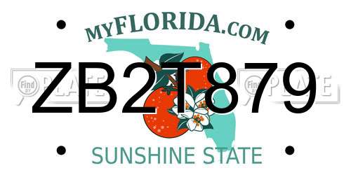 ZB2T879 Florida License Plate