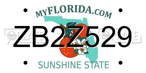 ZB2Z529 Florida License Plate