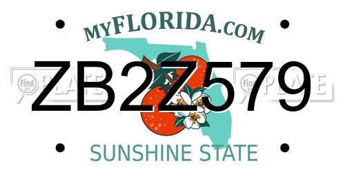 ZB2Z579 Florida License Plate