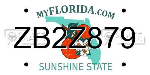 ZB2Z879 Florida License Plate