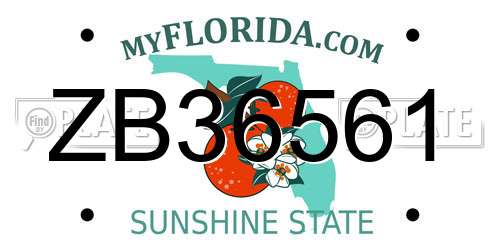 ZB36561 Florida License Plate