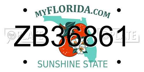 ZB36861 Florida License Plate