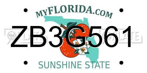 ZB3G561 Florida License Plate