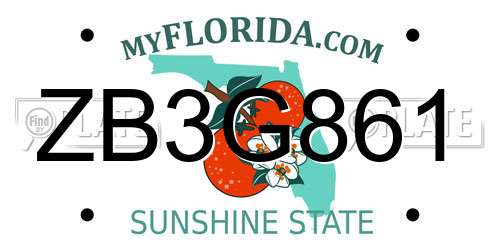 ZB3G861 Florida License Plate