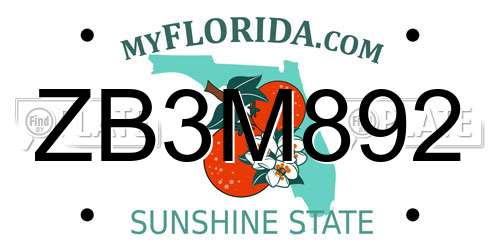 ZB3M892 Florida License Plate