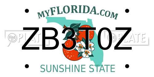 ZB3T0Z Florida License Plate