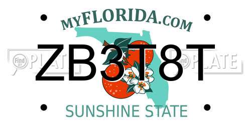 ZB3T8T Florida License Plate