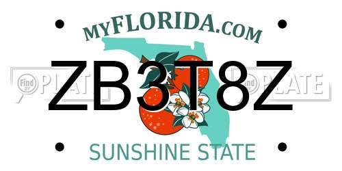 ZB3T8Z Florida License Plate