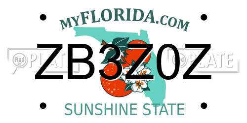 ZB3Z0Z Florida License Plate