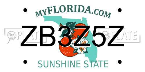 ZB3Z5Z Florida License Plate