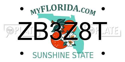 ZB3Z8T Florida License Plate