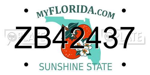 ZB42437 Florida License Plate