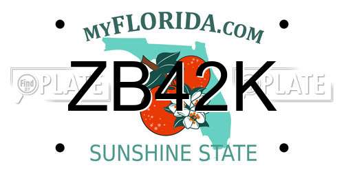 ZB42K Florida License Plate