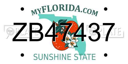 ZB47437 Florida License Plate