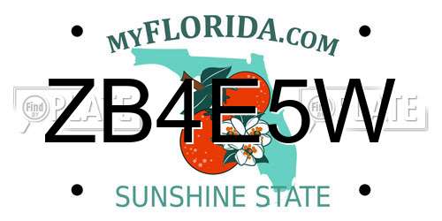 ZB4E5W Florida License Plate