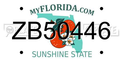 ZB50446 Florida License Plate