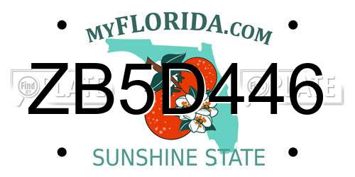 ZB5D446 Florida License Plate