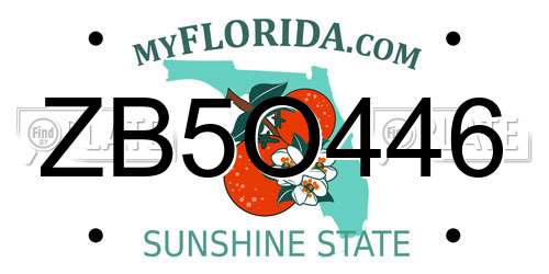 ZB5O446 Florida License Plate