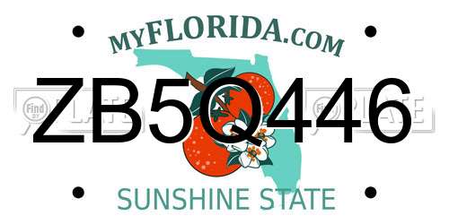 ZB5Q446 Florida License Plate