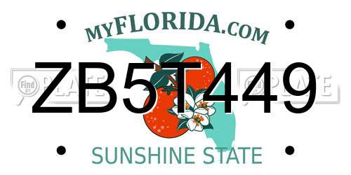 ZB5T449 Florida License Plate