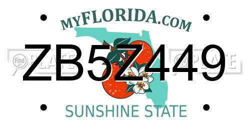 ZB5Z449 Florida License Plate
