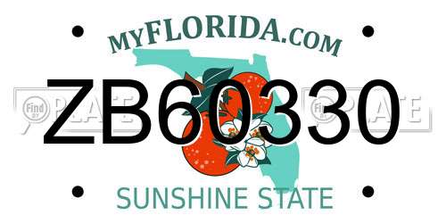 ZB60330 Florida License Plate
