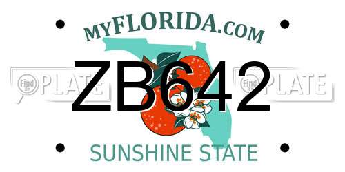 ZB642 Florida License Plate