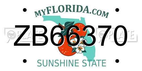 ZB66370 Florida License Plate