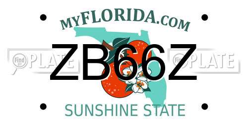 ZB66Z Florida License Plate