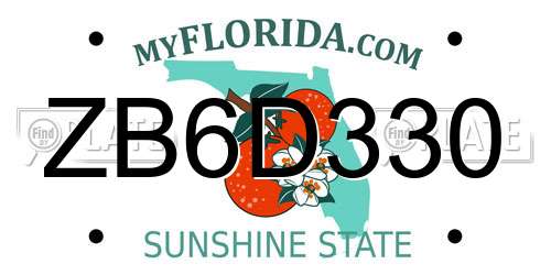 ZB6D330 Florida License Plate