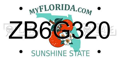 ZB6G320 Florida License Plate